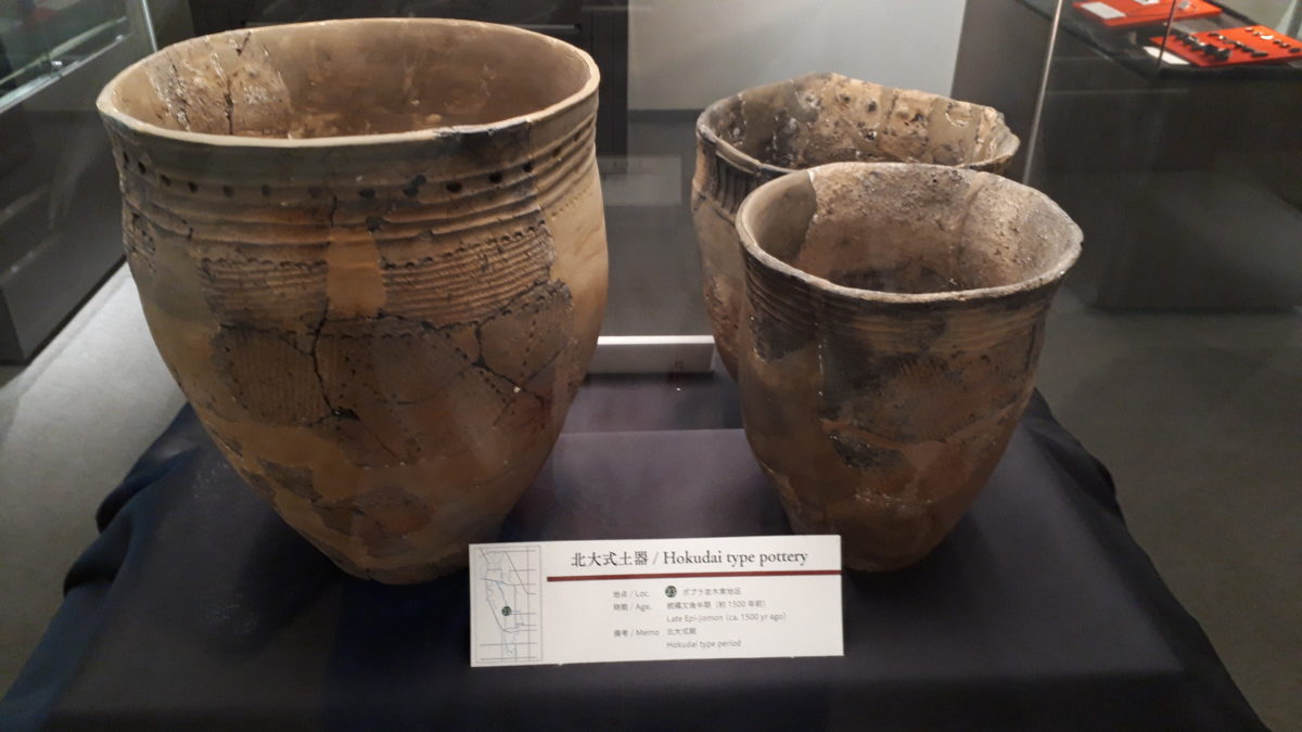 北海道大学総合博物館夏季特別展示