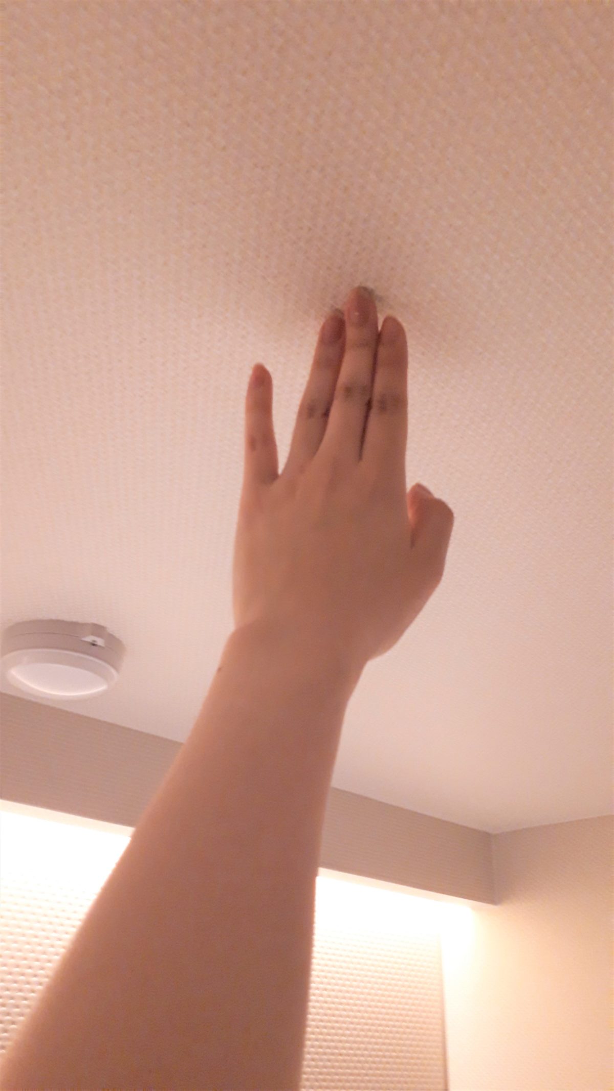 旅籠屋定山渓商店のカプセルルームハタゴノナカの個室の広さ