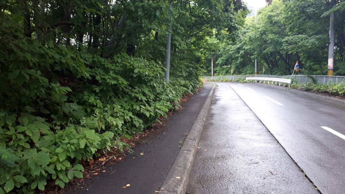 旅籠屋定山渓商店の定山渓大橋からのアクセス2