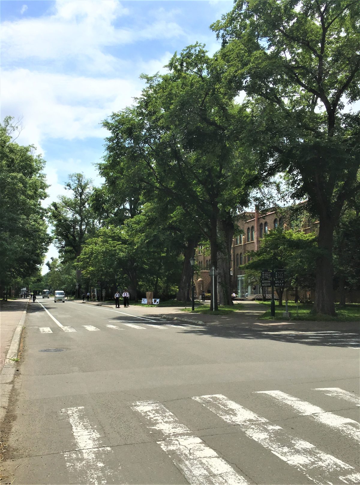 北大メインストリート（通称「メンスト」）