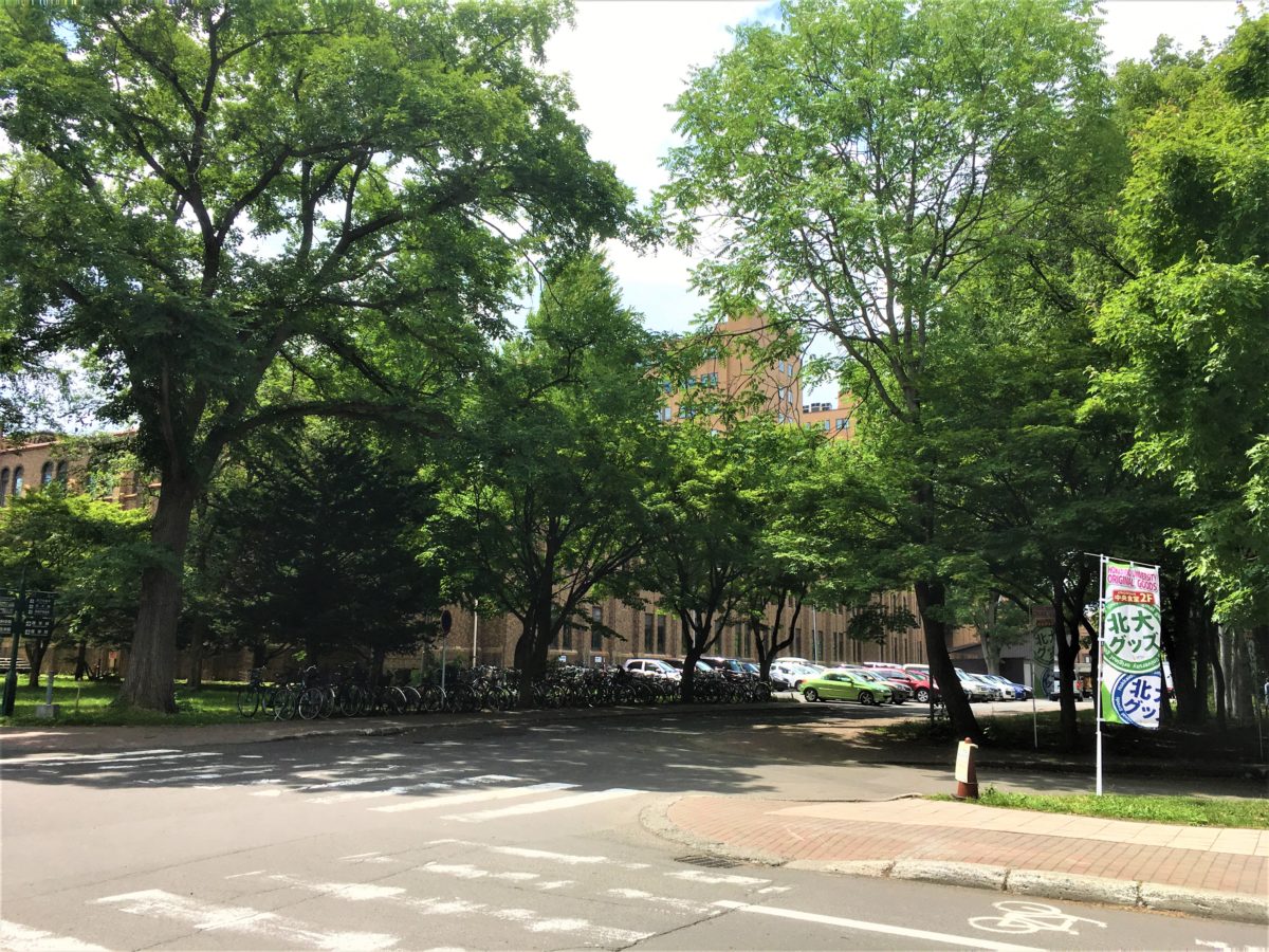 博物館と中央食堂の間