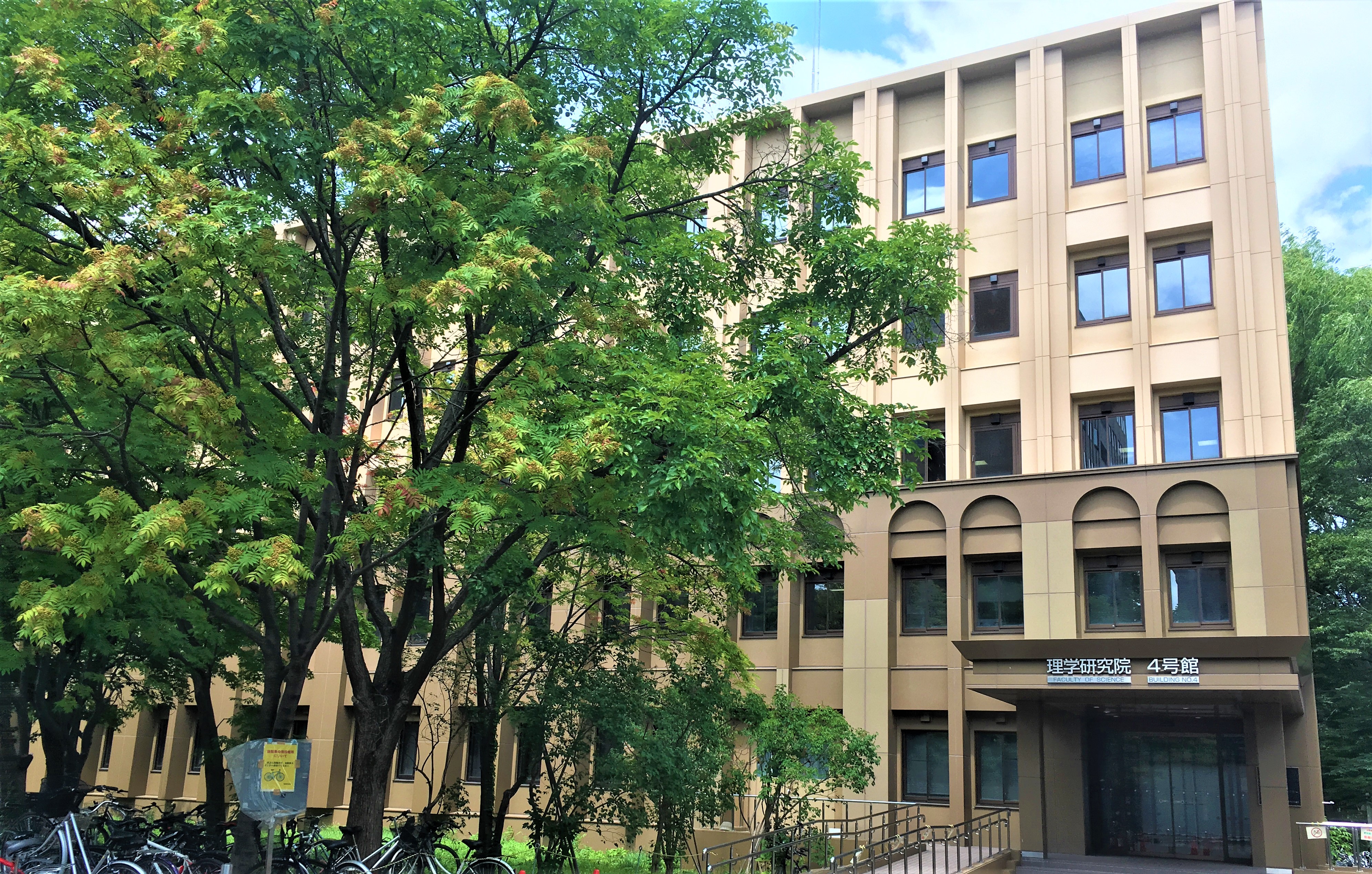 美しい北大理学部4号館