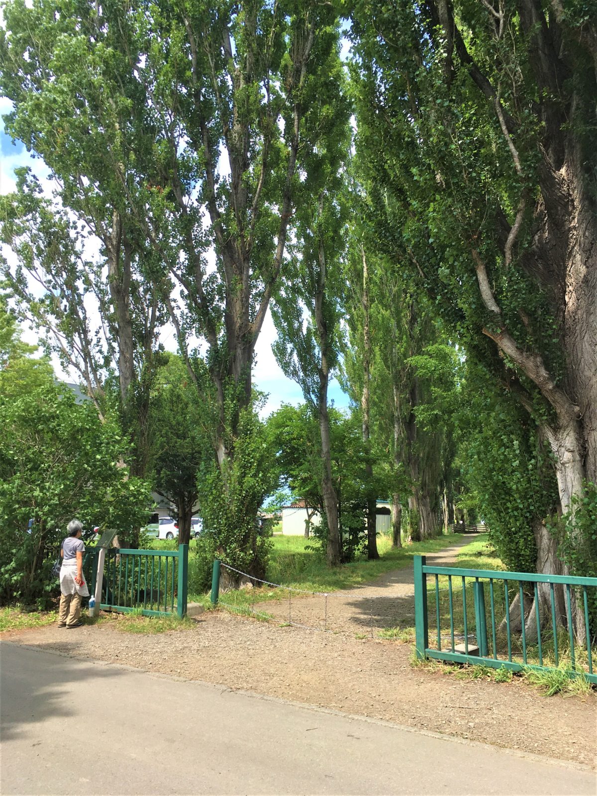 ポプラ並木入り口