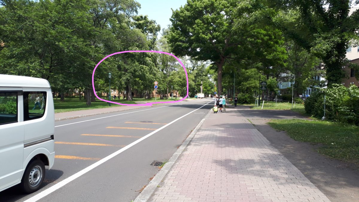 北海道大学総合博物館へのアクセス2