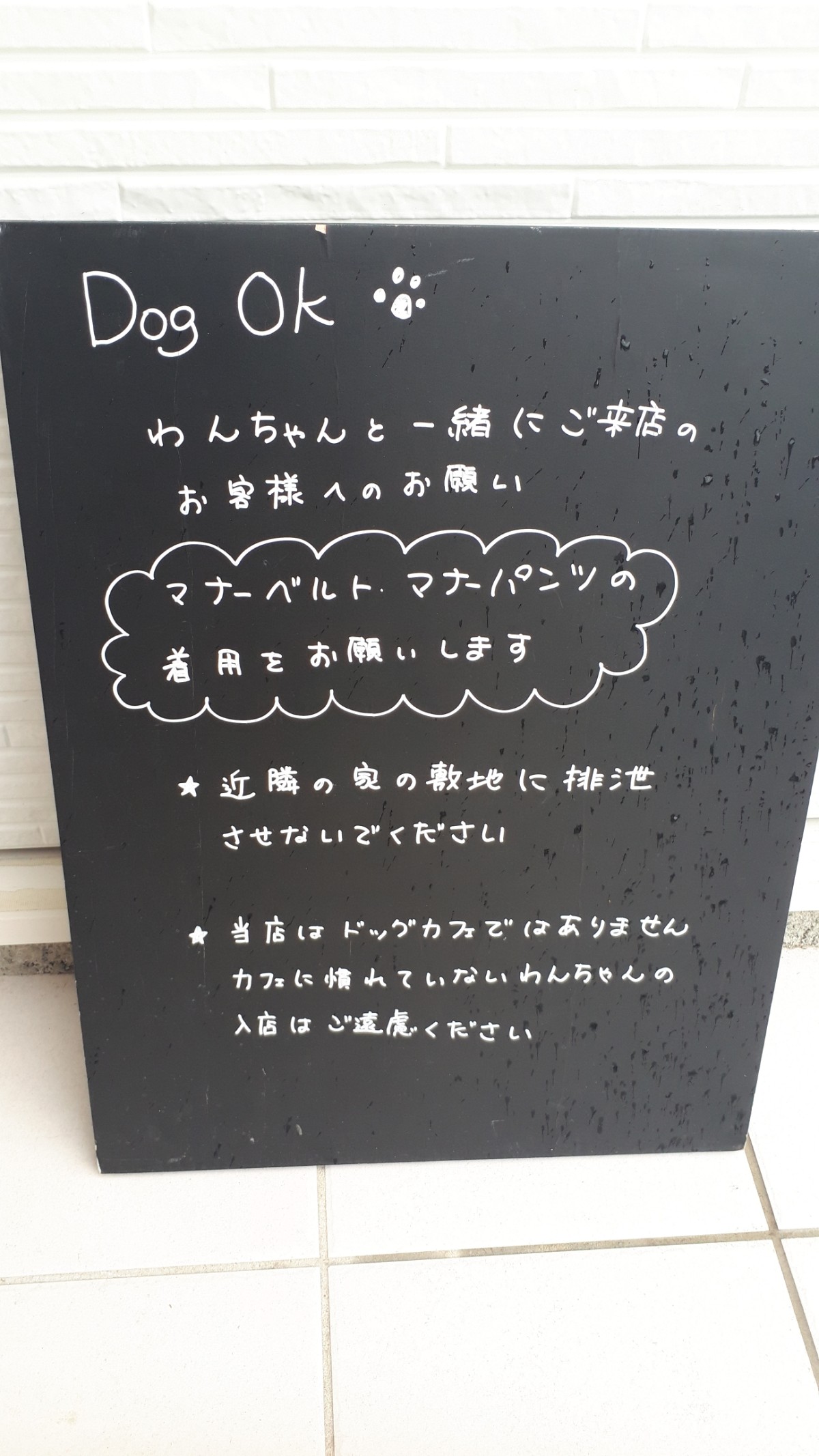 カフェシャエルのペット同伴時の注意