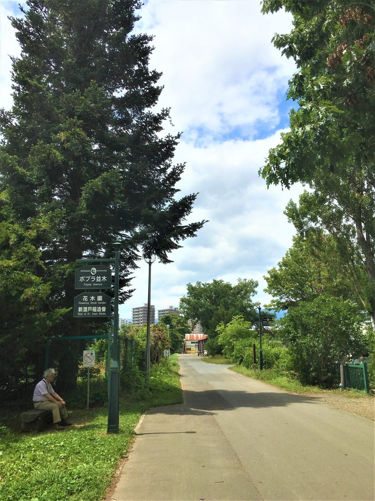 道の左側に案内板