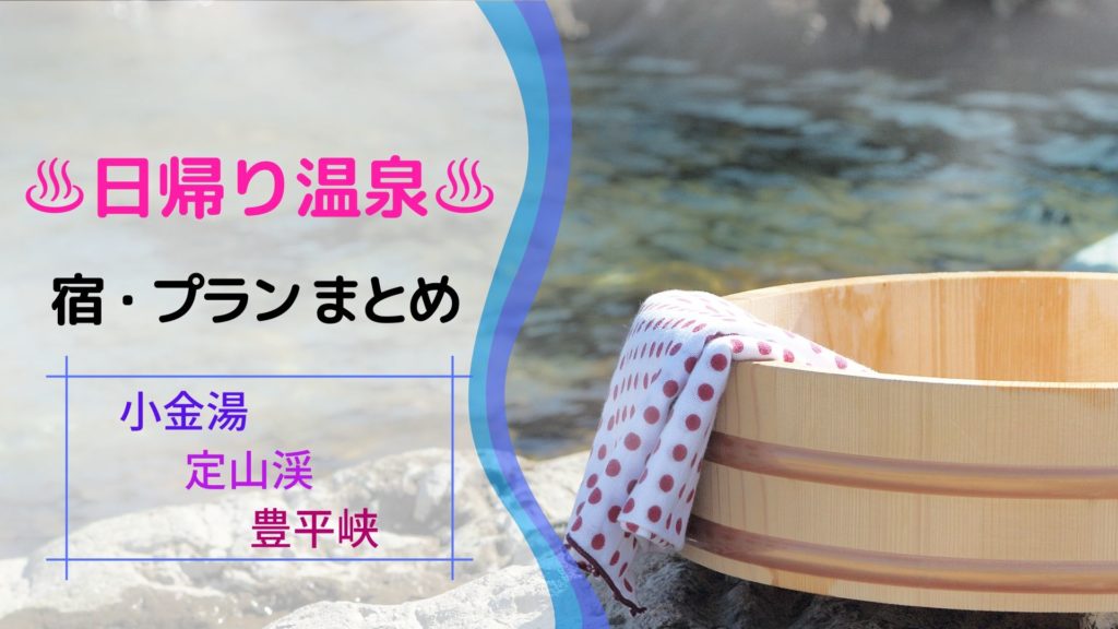 【日帰り温泉】定山渓・小金湯・豊平峡エリアを網羅！各宿のランチ付き・個室付プランなどを一覧でご紹介します♪【まとめ】