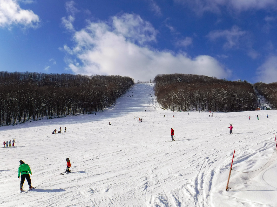 【スポット】札幌市内のスキー場全6か所の2019年オープン＆ナイター情報！アクセスや各ゲレンデのおすすめポイントをご