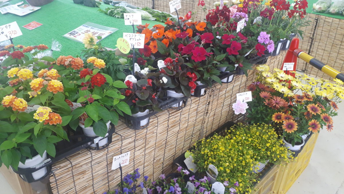 札幌市内の野菜直売所「JAさっぽろ」3