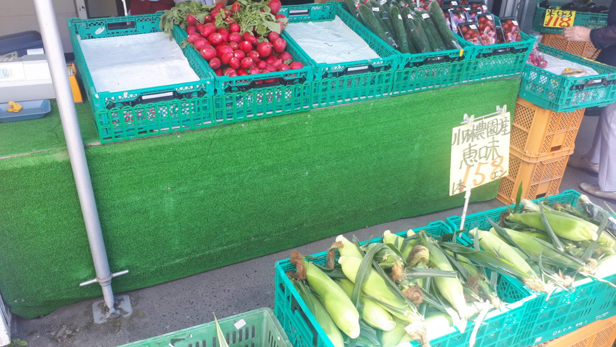 札幌の野菜直売所「小林農園野菜直売所」とうきび