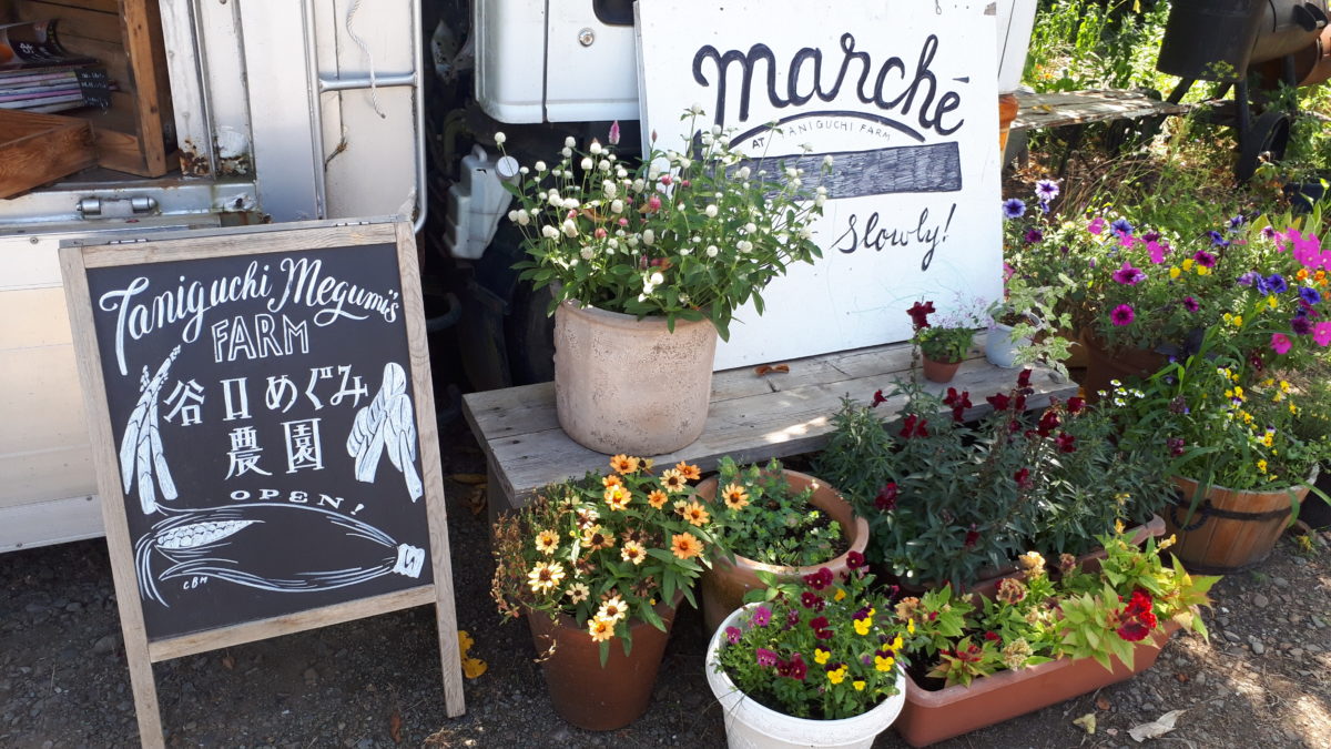 札幌の野菜直売所「谷口めぐみ農園」