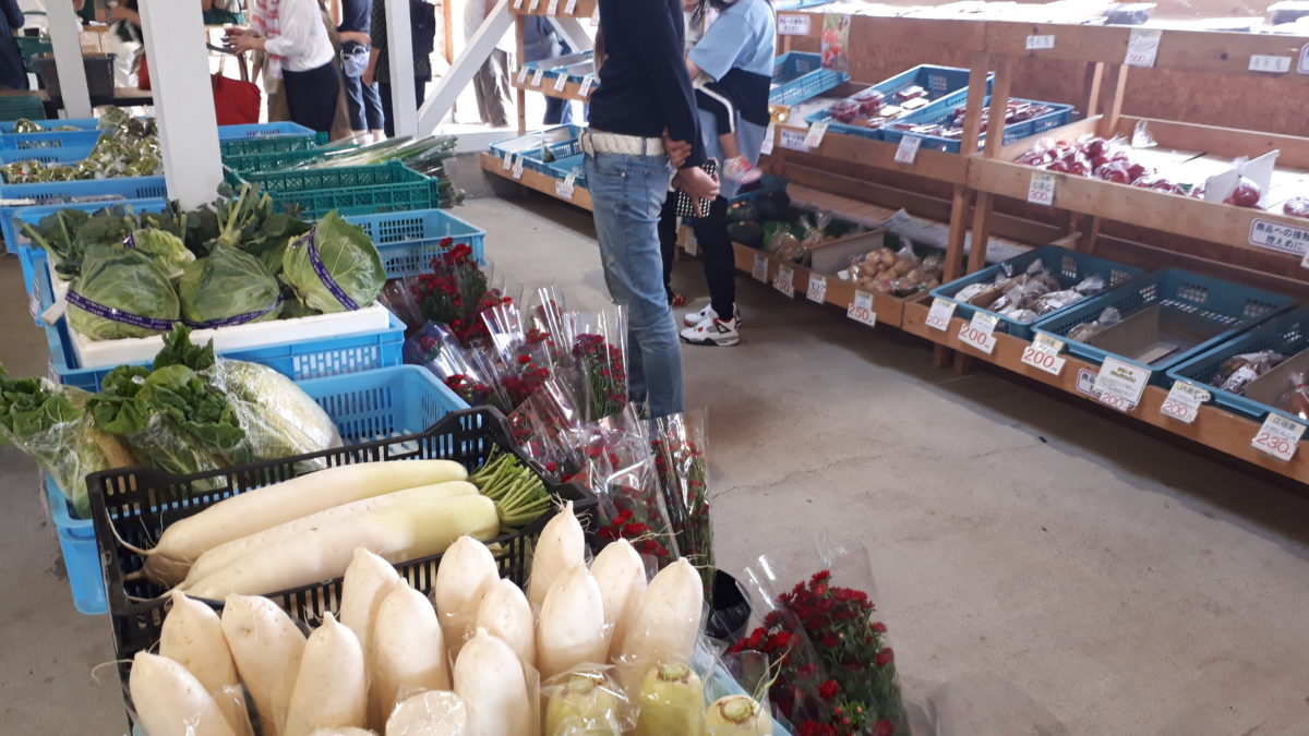 札幌の野菜直売所「八紘学園野菜直売所」3