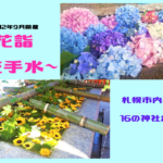 【9/1~22】札幌&近郊の神社で『花詣~花手水~』開催!手水鉢にお花が浮かび心を癒す♪お詣りして平穏な日常を祈りたい【花手水】