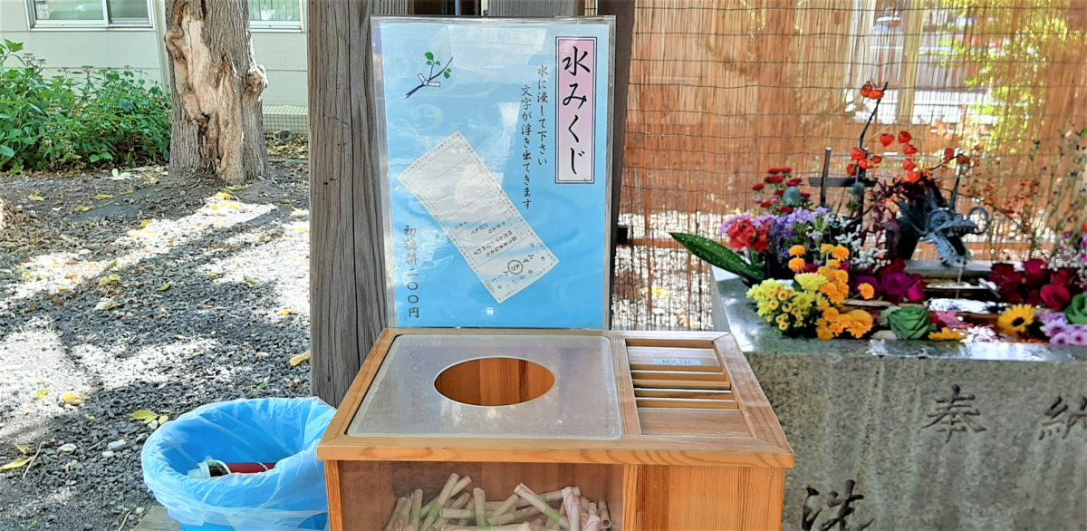 札幌諏訪神社の水みくじ
