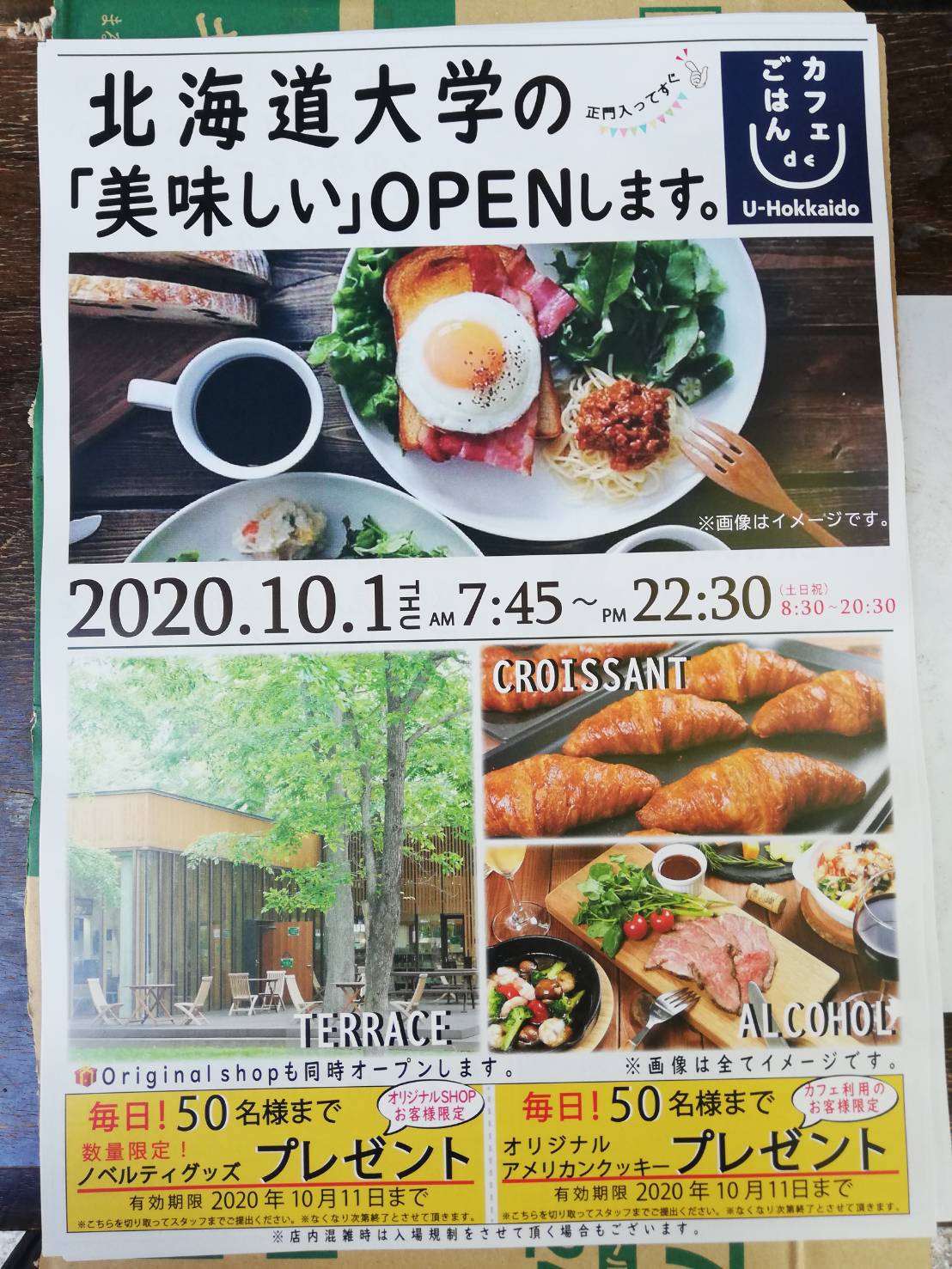 レビュー 札幌カフェ カフェdeごはん 場所は北大キャンパス内 モーニングからディナーまで楽しめる憩いの場 さっぽろ ポロノオト