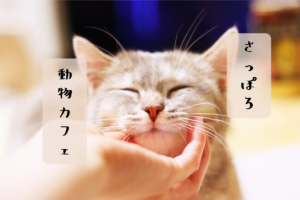 【おすすめ】札幌市内の「動物カフェ」～猫・犬・うさぎ♪動物との触れ合いに癒されて【まとめ】