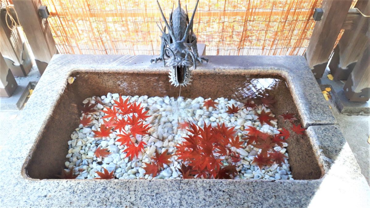札幌花手水「札幌諏訪神社」秋手水