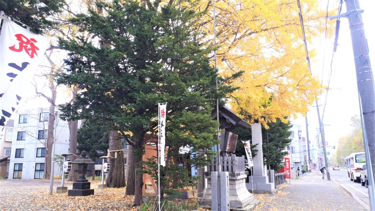 札幌諏訪神社2020年11月秋手水花手水
