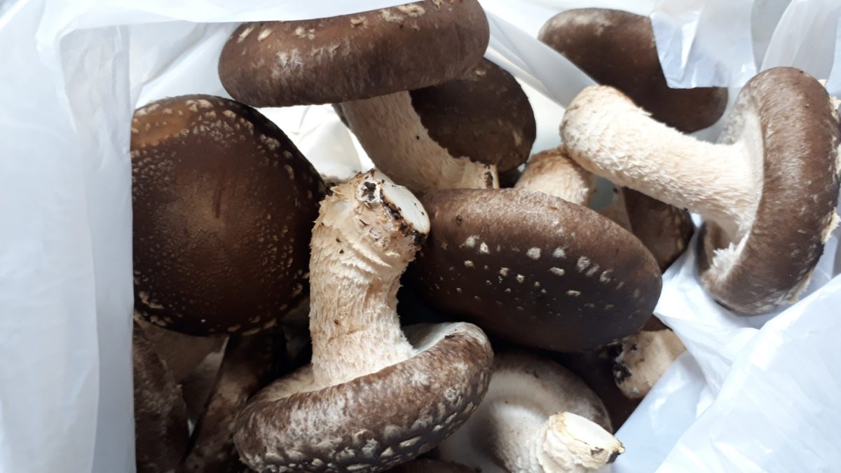 札幌直売所「清田しいたけファーム」A等級200グラム