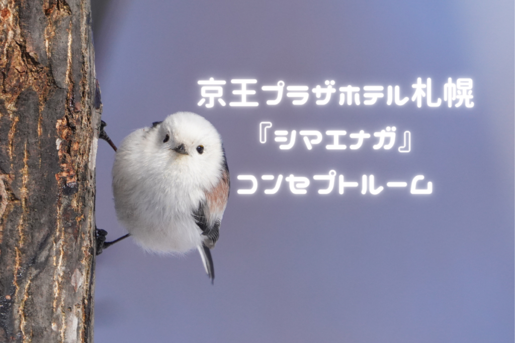 【宿泊】シマエナガだらけの部屋＆スイーツ♪『京王プラザホテル札幌のシマエナガコンセプトルーム』【期間限定】