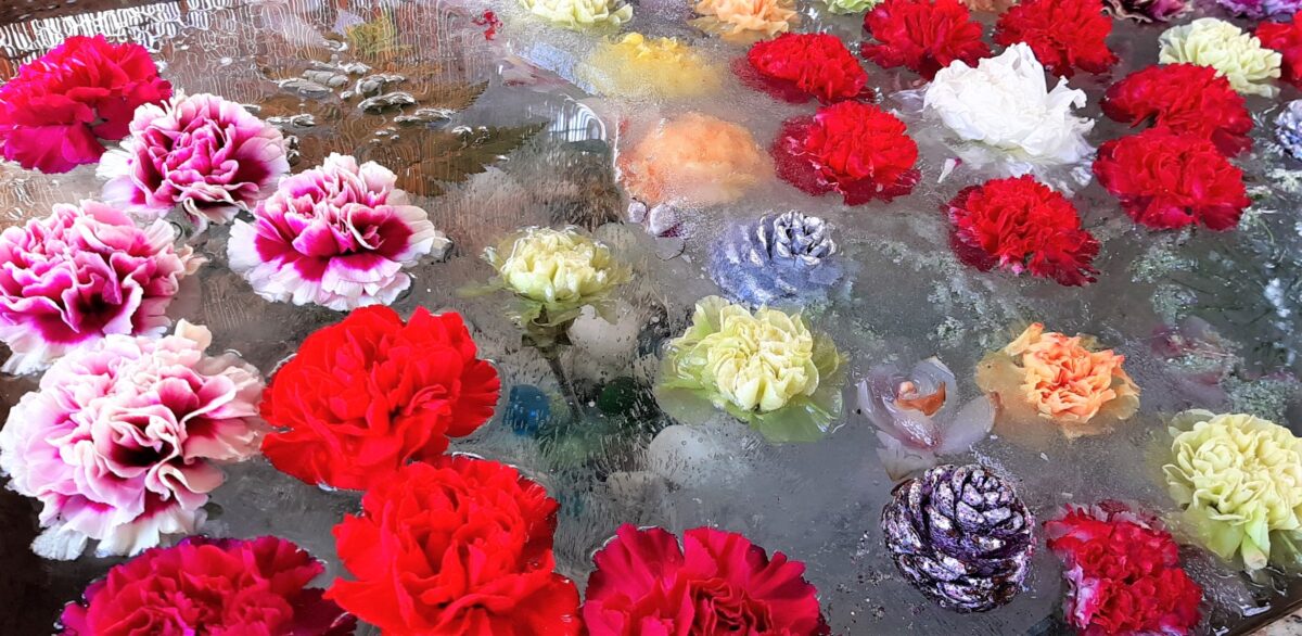 札幌諏訪神社北国の花手水