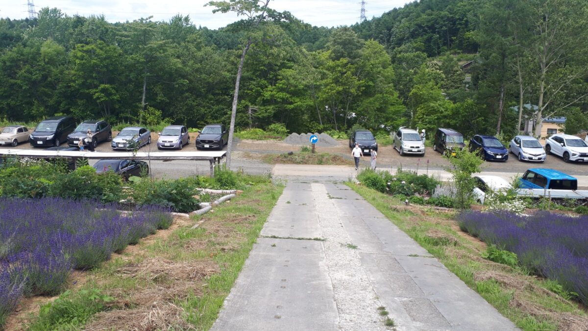 札幌景色「幌見峠展望駐車場のラベンダー園」第2駐車場