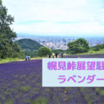 【スポット】『幌見峠展望駐車場のラベンダー園』~峠の頂上はラベンダー畑と札幌の街並みを一緒に楽しめるビュースポット♪