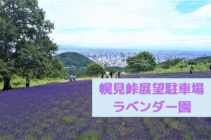 【スポット】『幌見峠展望駐車場のラベンダー園』~峠の頂上はラベンダー畑と札幌の街並みを一緒に楽しめるビュースポット♪