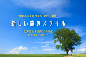 【キャンペーン】新どうみん割「新しい旅のスタイル」~北海道内対象圏域内の旅行で最大1万円が割引に♪